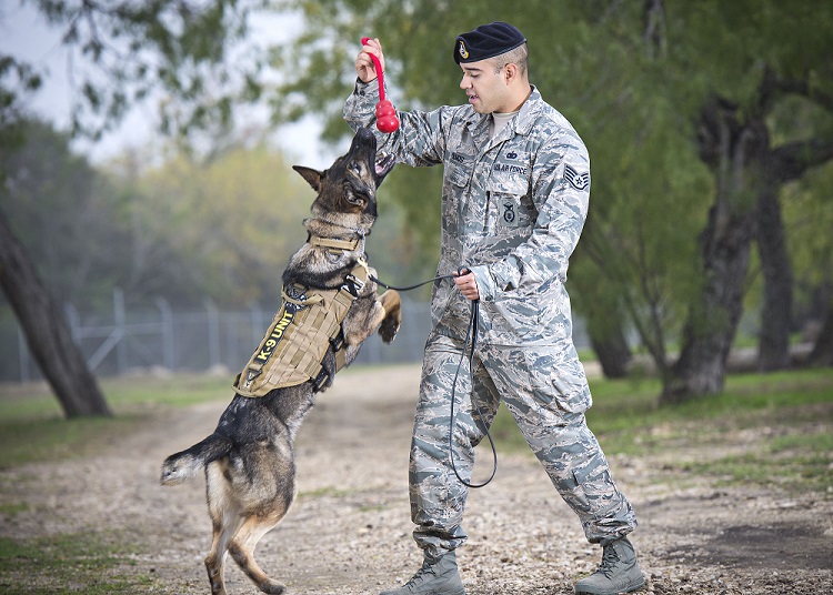 341st Training Squadron Canine Handler 